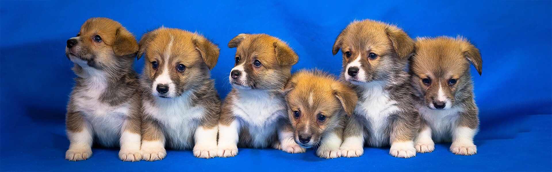 Ningbo Bangke Commodity Co., Ltd