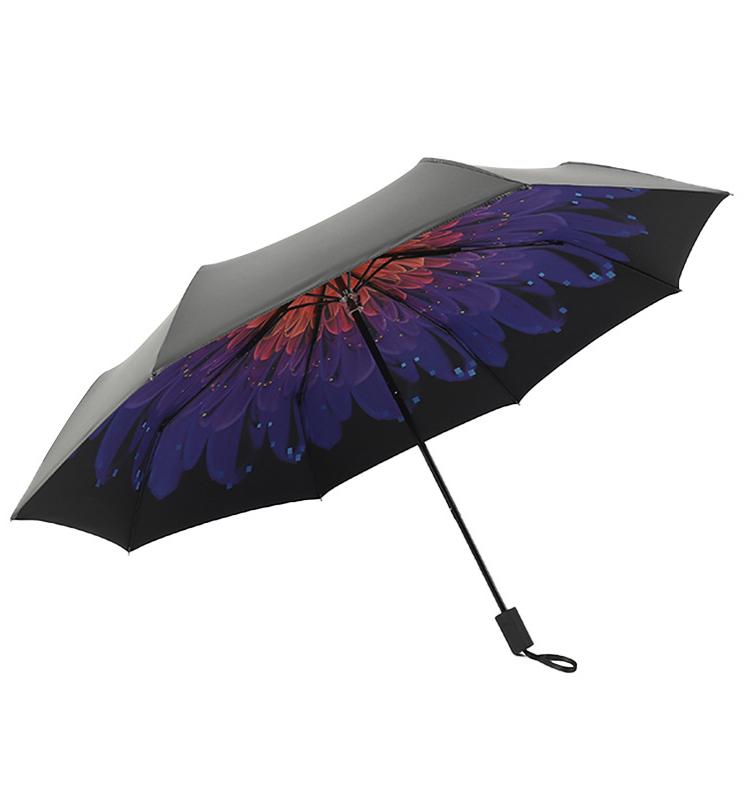 umbrella 10