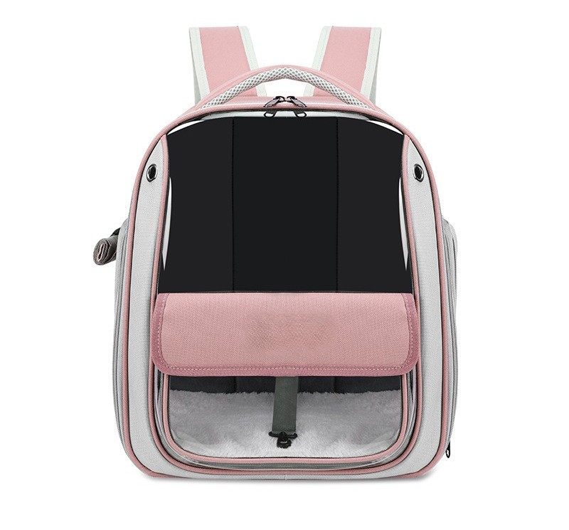 backpack 6
