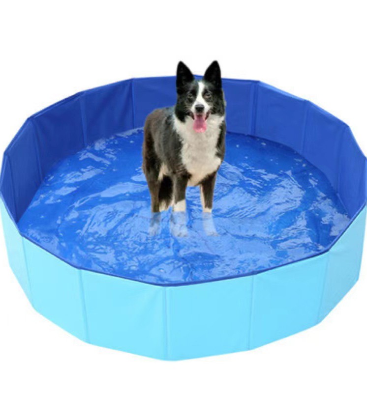 pet pool 2